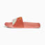 Leadcat 2.0 Suede OG Slides, Hibiscus Flower-PUMA White-Metallic Gold, small-THA