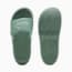 Swatch for Green Moon-Modern Mint