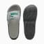 Swatch for Gray Echo-Wild Green-Dusky Gray