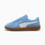 Swatch for Team Light Blue-PUMA White
