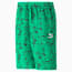Classics Super PUMA Shorts Men, Grassy Green-AOP, small-PHL
