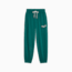 PUMA Team Women's Sweatpants, Malachite, small-PHL