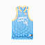 Swatch for Team Light Blue