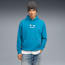 BMW M Motorsport Essentials Fleece Hoodie Men, Tropical Blue, small-GBR