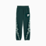 PUMA HOOPS x HARRY POTTER™ Sweatpants Women, Green Terrain-heather, small-GBR