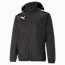 teamLIGA All-Weather Football Jacket Men, Puma Black-Puma Black, small-GBR