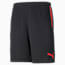 individualCUP Men's Football Shorts, Puma Black-Sunblaze, small-PHL