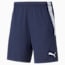 teamLIGA Training Men's Football Shorts, Peacoat-Puma White, small-PHL