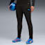 individualCUP Football Training Pants Men, PUMA Black-PUMA White-Ultra Blue, small-GBR