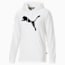 Swatch for Puma White
