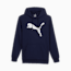 Swatch for PUMA Navy