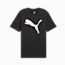 Swatch for PUMA Black