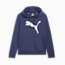 Swatch for PUMA Navy