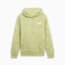 Swatch for Pistachio