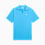 Swatch for Team Light Blue