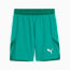 Swatch for Sport Green-PUMA White-Power Green