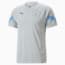 Manchester City F.C. Football Training Jersey Men, Gray Violet-Team Light Blue, small-PHL