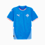 Iceland 2024 Home Jersey Men, Racing Blue-PUMA White, small-GBR