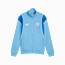 Swatch for Team Light Blue-Racing Blue