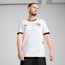 Egypt 2025 Away Jersey Men, PUMA White-Sand Dune, small-GBR