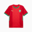 Swatch for PUMA Red-Archive Green
