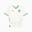 Swatch for PUMA White-Fast Green-PUMA Red