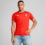 Portugal 2025 Home Jersey Men, Sport Red-Sugared Almond, small-THA