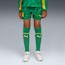Borussia Dortmund 25/26 Goalkeeper Shorts Youth, Archive Green-Intense Orange, small-GBR