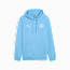 Manchester City FtblEssentials Hoodie Men, Team Light Blue-PUMA White, small-GBR