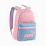 Poised Pink-Cool Blue