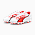PUMA White-PUMA Black-Fire Orchid