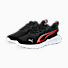 Puma Black-Salmon-Light Aqua