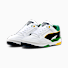 PUMA White-Archive Green-New Navy