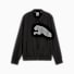 Puma Black-White cat