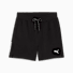 Puma Black