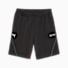 Puma Black