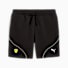 Puma Black