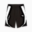 Puma Black