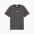 Dusky Gray