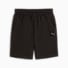 Puma Black