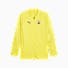 Blazing Yellow-Medieval Blue