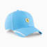 Regal Blue
