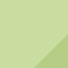 Lily Pad-Lily Pad