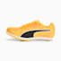 Sun Stream-Sunset Glow-Puma Black