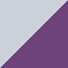 Prism Violet-Spectra Yellow