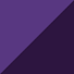 Prism Violet-Spring Crocus