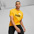 Yellow Sizzle