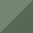 Eucalyptus