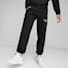 Puma Black