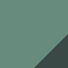 Eucalyptus